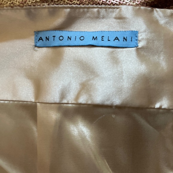CLEARANCE Antonio Melani - Size 14 Gold/ Metallic Snake skin skirt NWT - Picture 7 of 8